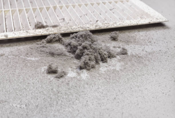 Best Best Air Duct Cleaning Company  in , DE