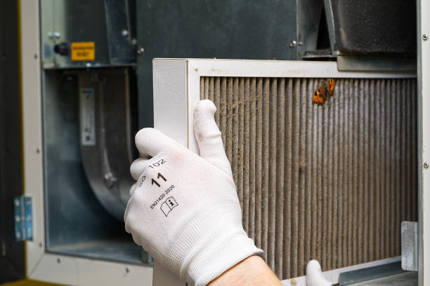 Best Local Air Duct Cleaning Services  in , DE